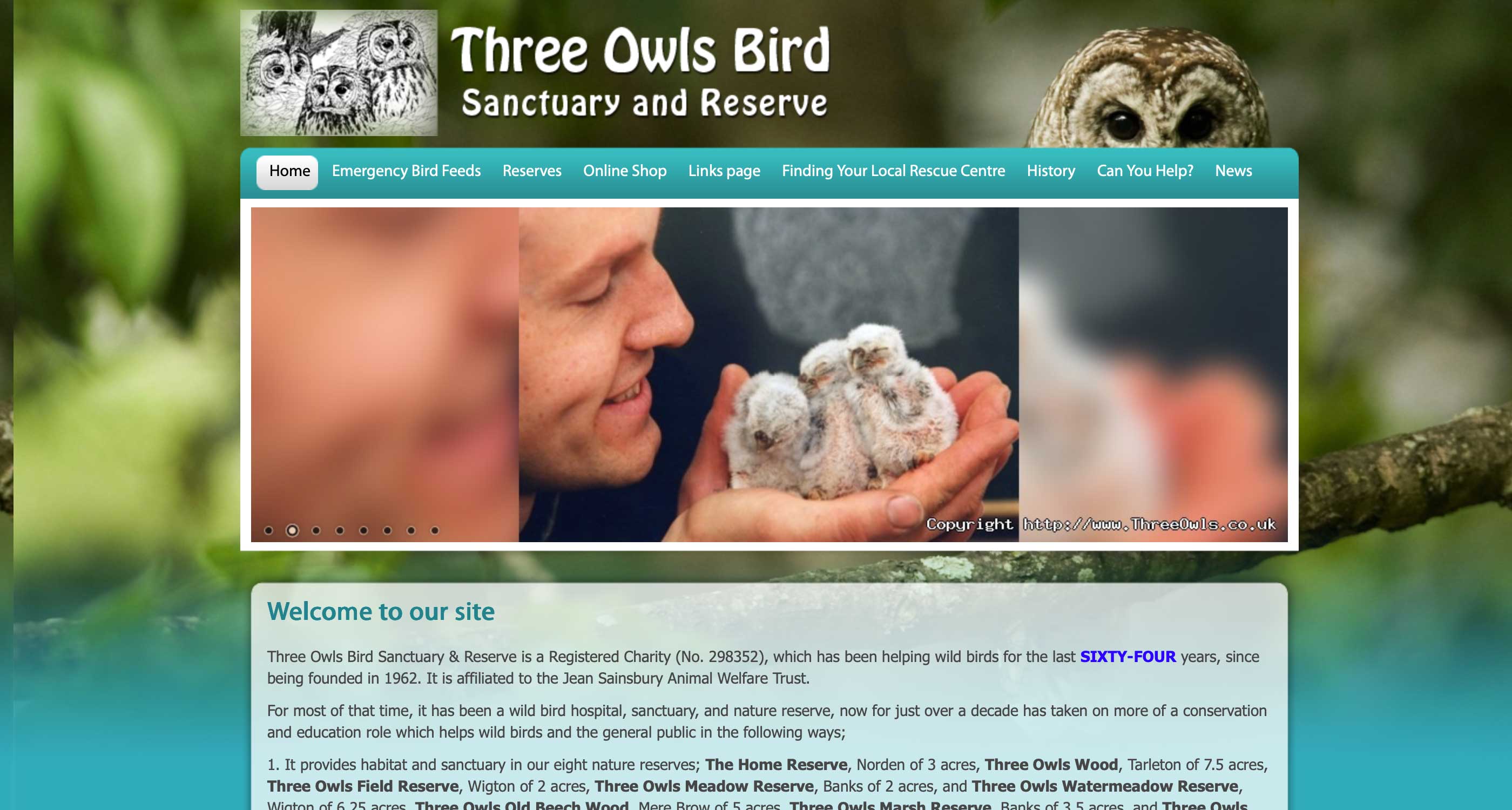 Three Owls